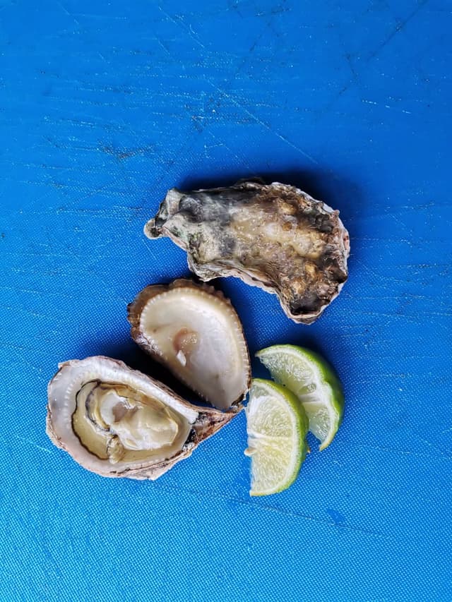 Seafood Kilifi Oysters (Unshucked) @40 per piece