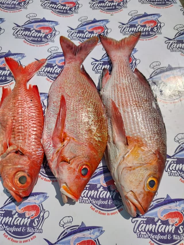 Whole fish Red Snapper @1200 per kg
