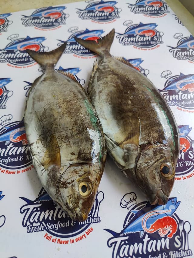  Raw Rabbitfish