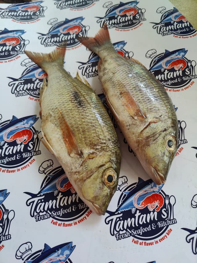 Wholefish Raw White Snapper (Chamgu)