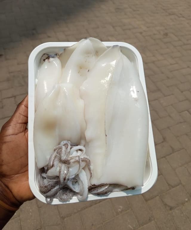 Seafood Calamari/Squid (Cleaned) @2050 per kg